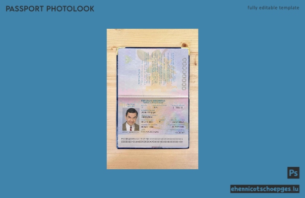 Indonesien-Passfoto – Beispielvorschau